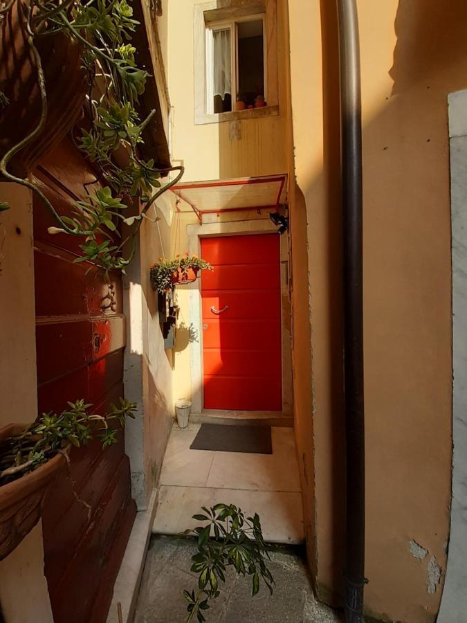 Апартаменты Il Nido Dell'Arancio Каррара Экстерьер фото